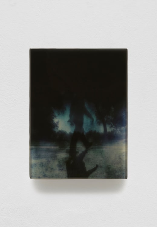 SADIE BENNING,&nbsp;Pain Thing 2,&nbsp;&nbsp;Detail, Sequence 10, Panel 35 (David), 2019, wood, photographic transparencies, aqua resin and resin, 53 panels/16 sequences, each: 9 3&frasl;4 by 7 1&frasl;4 in. 24.8 by 18.4 cm.