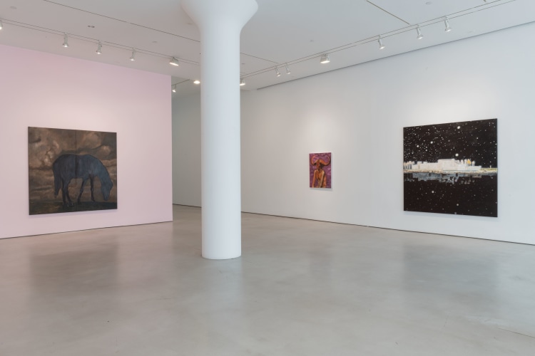 Gideon Appah, Installation view of&nbsp;More Luck&nbsp;at Mitchell-Innes &amp;amp; Nash New York, 2022
