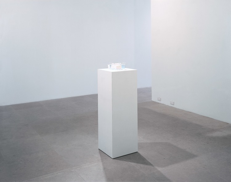 JONATHAN HOROWITZ Tofu on Pedestal in Gallery 2002