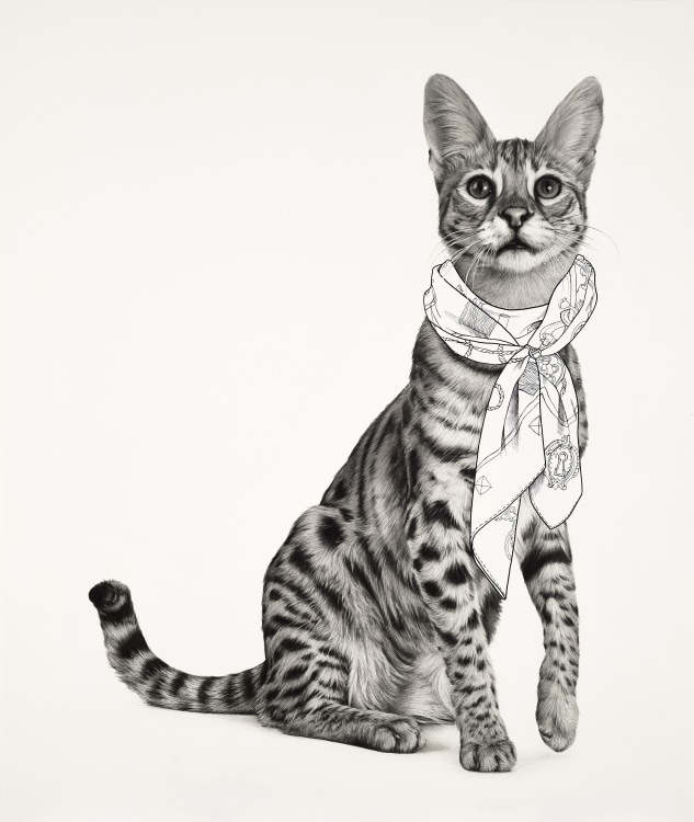 KARL HAENDEL Cat With Scarf 2021
