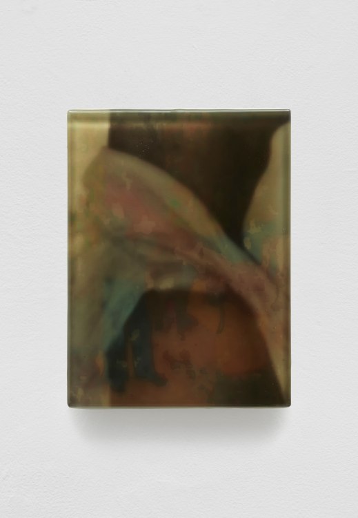 SADIE BENNING,&nbsp;Pain Thing 2, Detail, Sequence 1, Panel 2 (Twins), 2019, wood, photographic transparencies, aqua resin and resin, 53 panels, each, 53 panels/16 sequences, each:&nbsp;9 3&frasl;4 by 7 1&frasl;4 in. 24.8 by 18.4 cm.