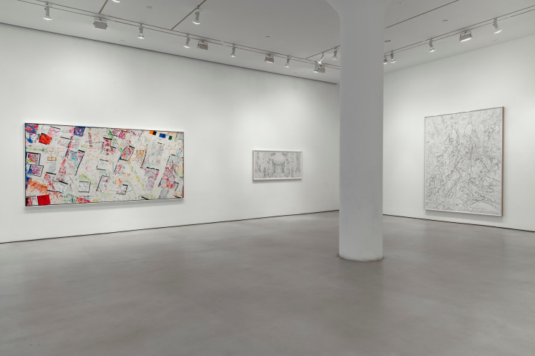 NANCY GRAVES Installation view of Mapping at Mitchell-Innes &amp; Nash, New York, 2019