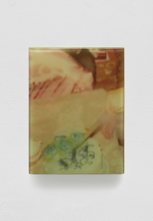 SADIE BENNING,&nbsp;Pain Thing 2,&nbsp;&nbsp;Detail, Sequence 7, Panel 27 (Peter, Paul, and Mary / Chicken Bone), 2019, wood, photographic transparencies, aqua resin and resin, 53 panels/16 sequences, each: 9 3&frasl;4 by 7 1&frasl;4 in. 24.8 by 18.4 cm.