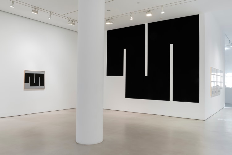 Installation view of Meander