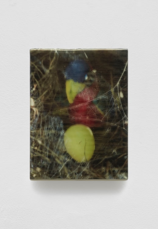 SADIE BENNING,&nbsp;Pain Thing 2,&nbsp;&nbsp;Detail, Sequence 3, Panel 10 (YV), 2019, wood, photographic transparencies, aqua resin and resin, 53 panels/16 sequences, each: 9 3&frasl;4 by 7 1&frasl;4 in. 24.8 by 18.4 cm.