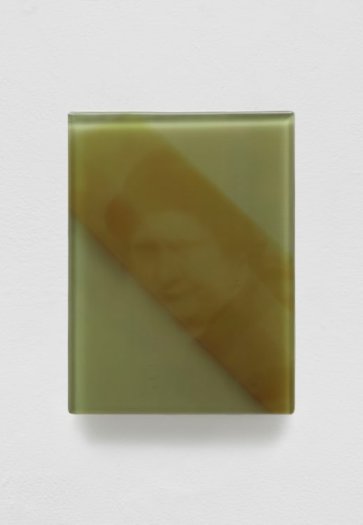 SADIE BENNING,&nbsp;Pain Thing 2,&nbsp;&nbsp;Detail, Sequence 2, Panel 6 (Big Band), 2019, wood, photographic transparencies, aqua resin and resin, 53 panels/16 sequences, each: 9 3&frasl;4 by 7 1&frasl;4 in. 24.8 by 18.4 cm.