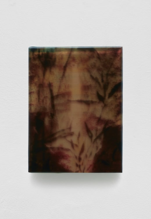 SADIE BENNING,&nbsp;Pain Thing 2,&nbsp;&nbsp;Detail, Sequence 6, Panel 23 (Sleepover), 2019, wood, photographic transparencies, aqua resin and resin, 53 panels/16 sequences, each: 9 3&frasl;4 by 7 1&frasl;4 in. 24.8 by 18.4 cm.