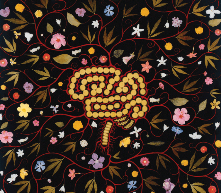 Fred Tomaselli at Begovich Gallery