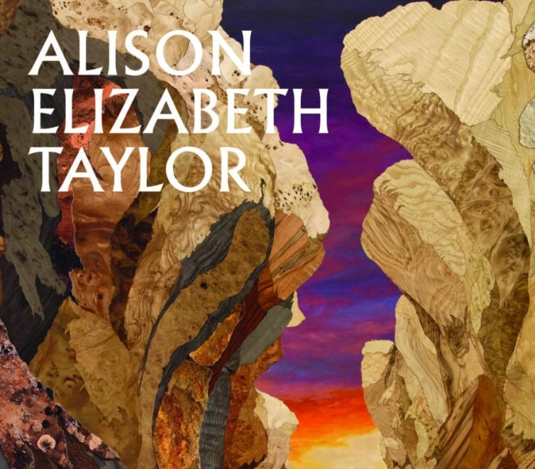 Cover of "Alison Elizabeth Taylor: The Sum of It"