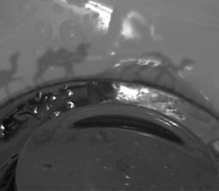 Hiraki Sawa at The Asia Society