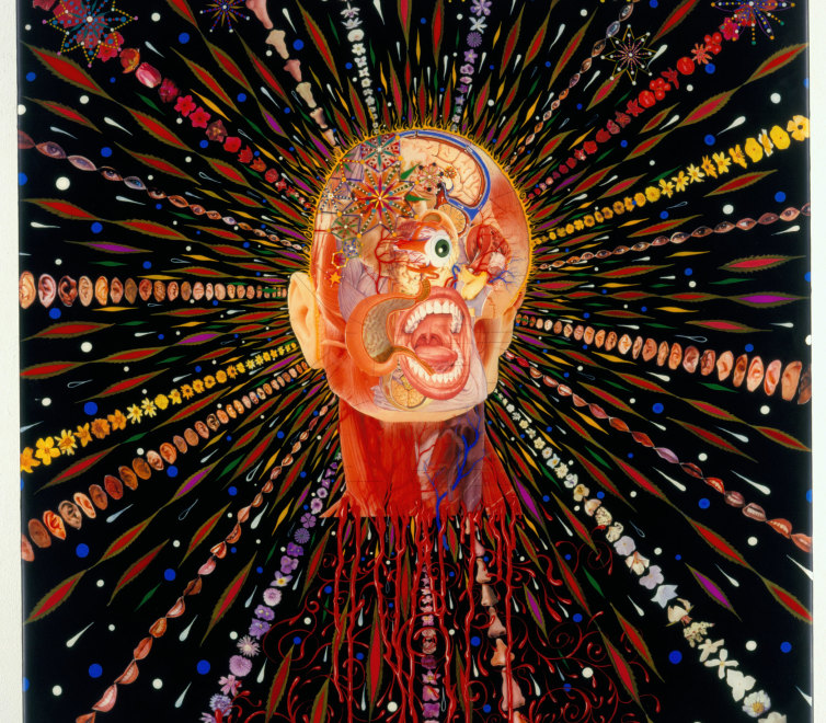 Fred Tomaselli at the Montclair Art Museum