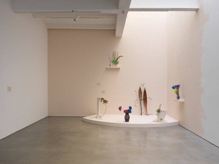 Life to come. Installation view, 2019. Metro Pictures, New York.