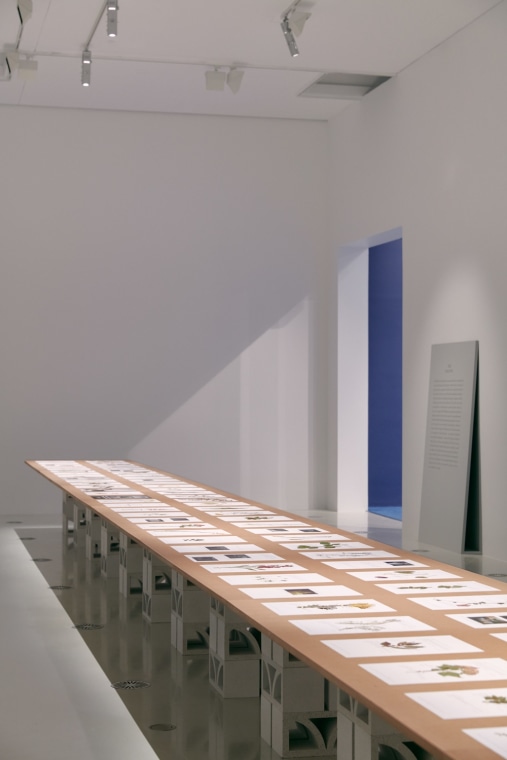 Is Today Tomorrow. Installation view, 2021. National Gallery of Victoria, Melbourne. Photo: Tom Ross.