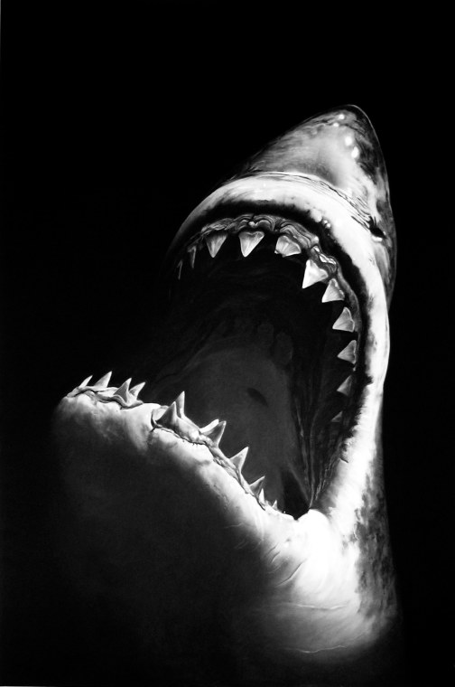 Untitled (Shark 7), 2008.