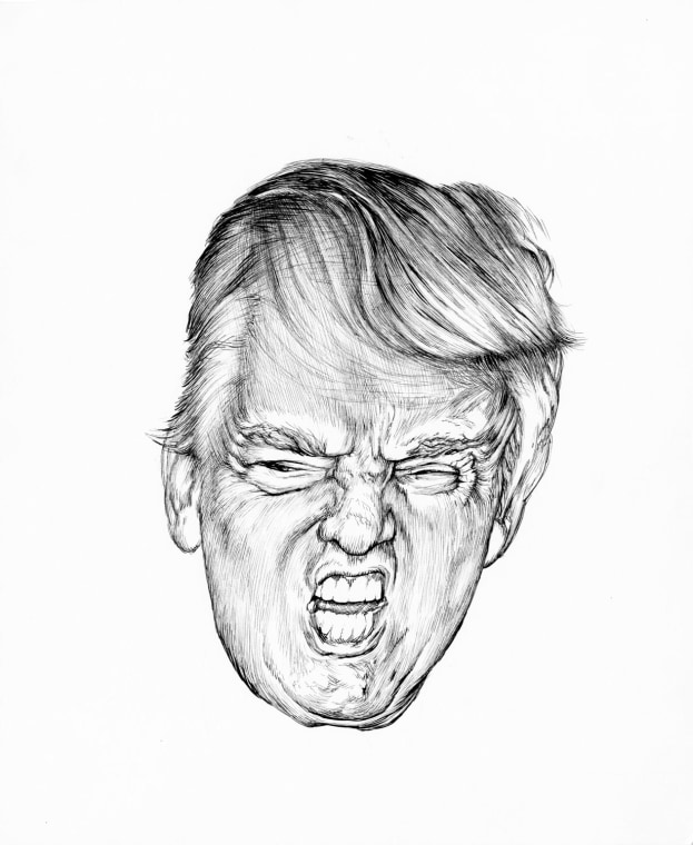 Trump Distortion #2, 2017