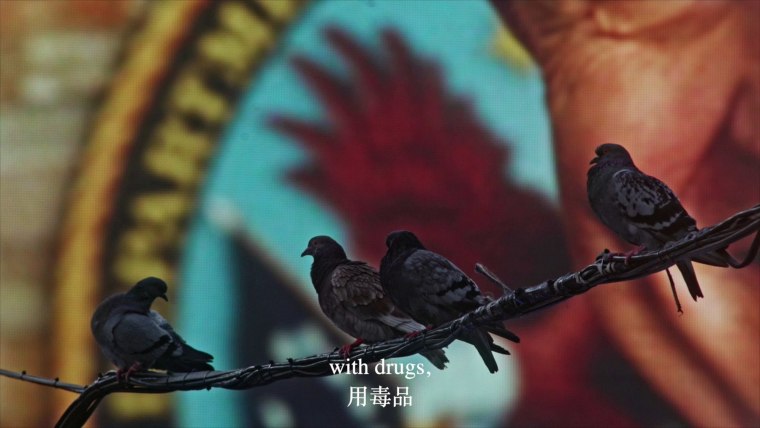 Cheng Ran The Homing Pigeon, 2016