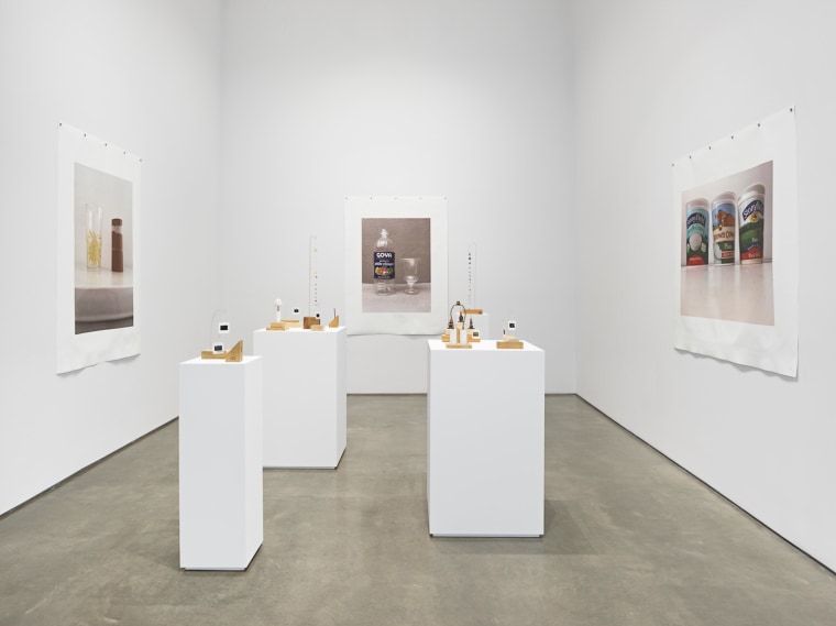 Domestic Space. Installation view, 2018. Metro Pictures, New York.