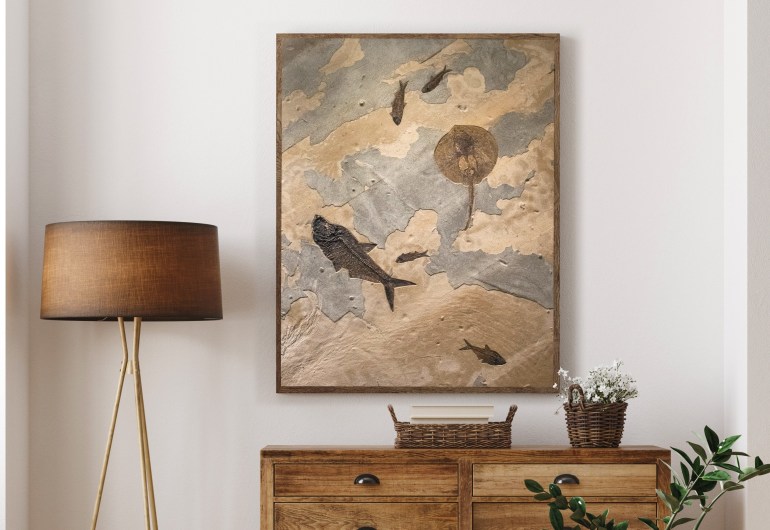 Collector Sized Fossil Mural containing a Stingray in a Home Setting