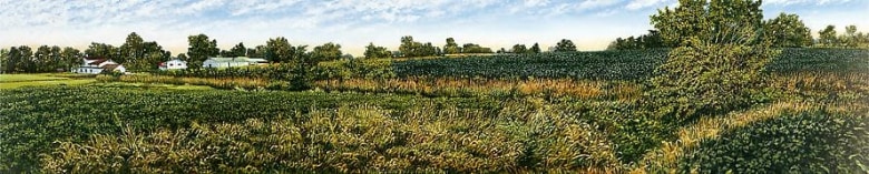 Illinois Landscape #158, 1999