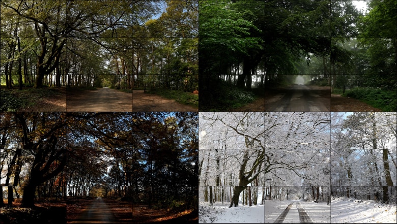 David Hockney, The Four Seasons, Woldgate Woods (Spring 2011, Summer 2010, Autumn 2010, Winter 2010),&nbsp;2010-2011