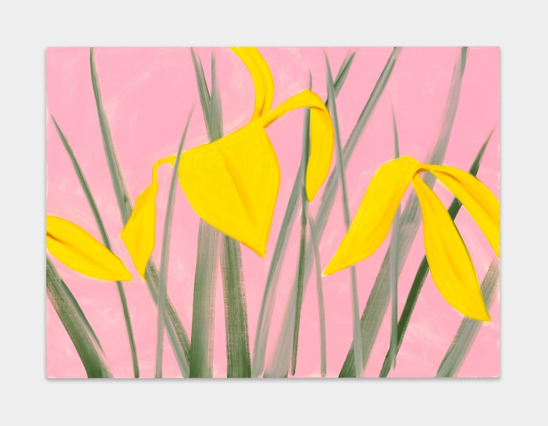 Alex Katz&nbsp;, Iris 2, 2019