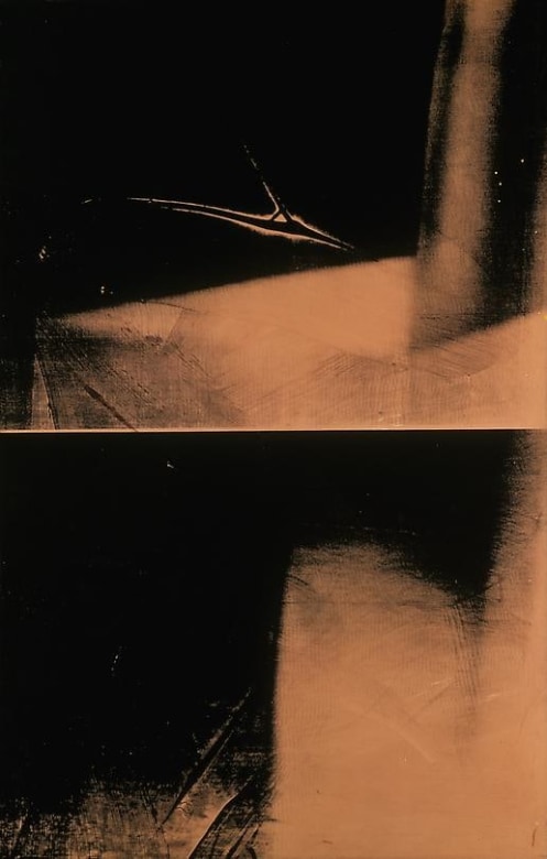 Shadow, 1978 Synthetic polymer paint and silkscreen ink on canvas