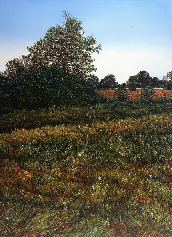 Illinois Landscape #124, 1993