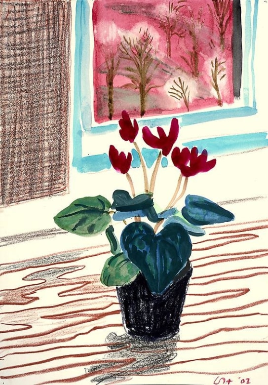 Cyclamen, Mayflower Hotel, New York, 2002