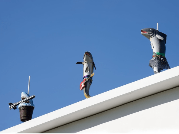 Cosima von Bonin