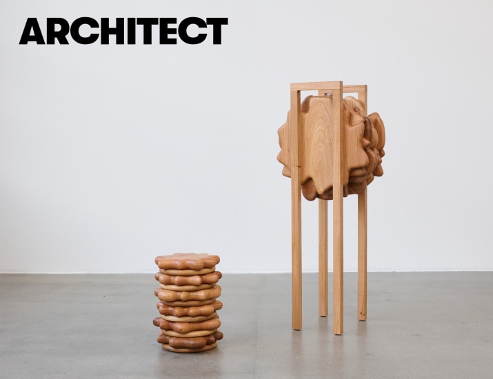 Anne Brandhøj in Architect Magazine