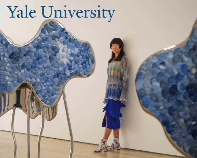 Lin Wang on Yale University Radio