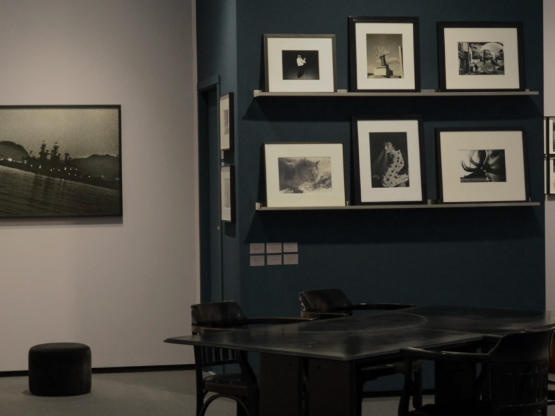 Michael Hoppen Gallery
