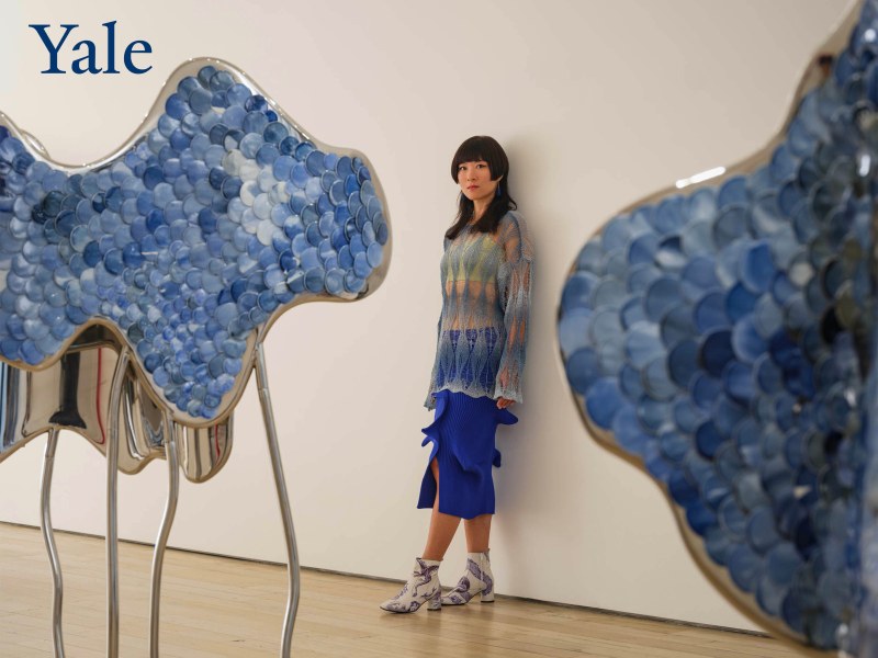 Lin Wang on Yale University Radio