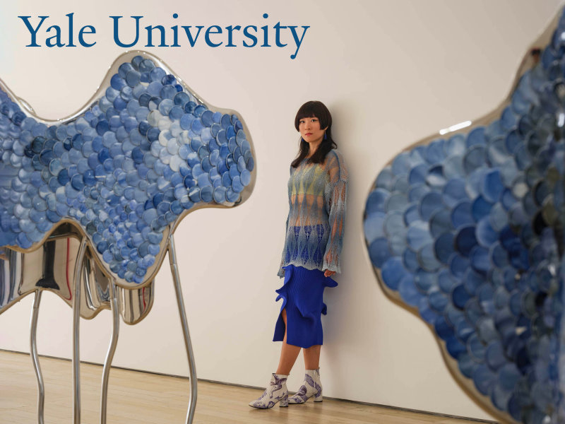 Lin Wang on Yale University Radio