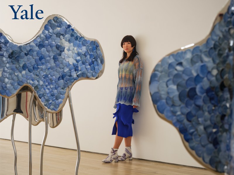 Lin Wang on Yale University Radio