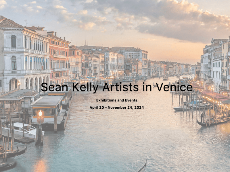 Sean Kelly Artists in Venice