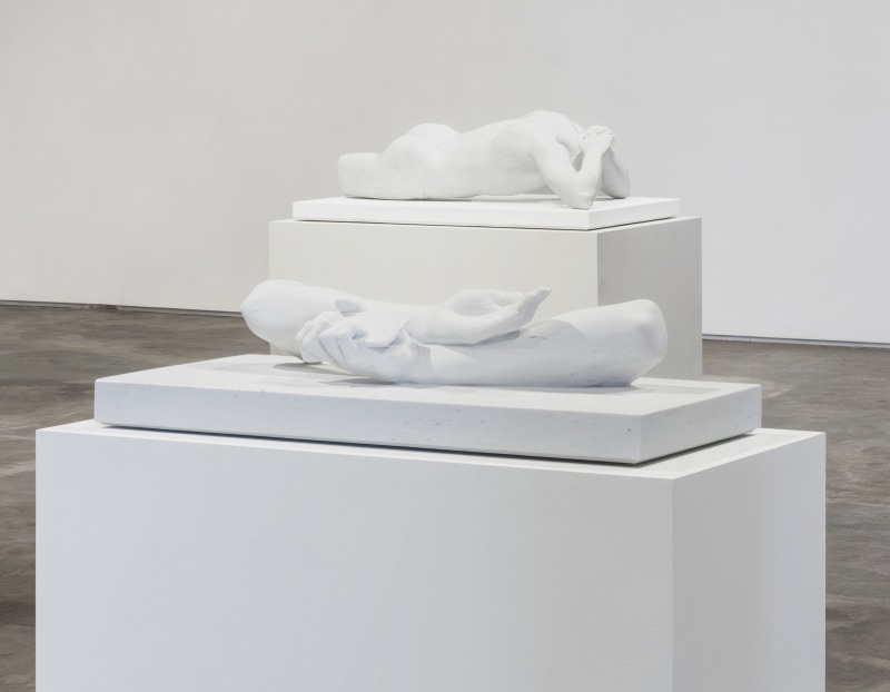 Installation view of "Fragment of the Self"