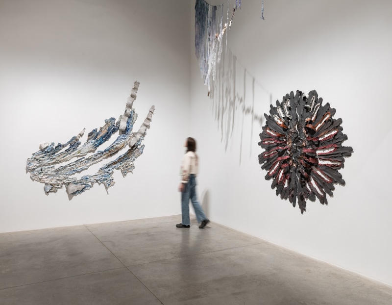 Installation view of Brie Ruais' exhibition "Bone Dice"