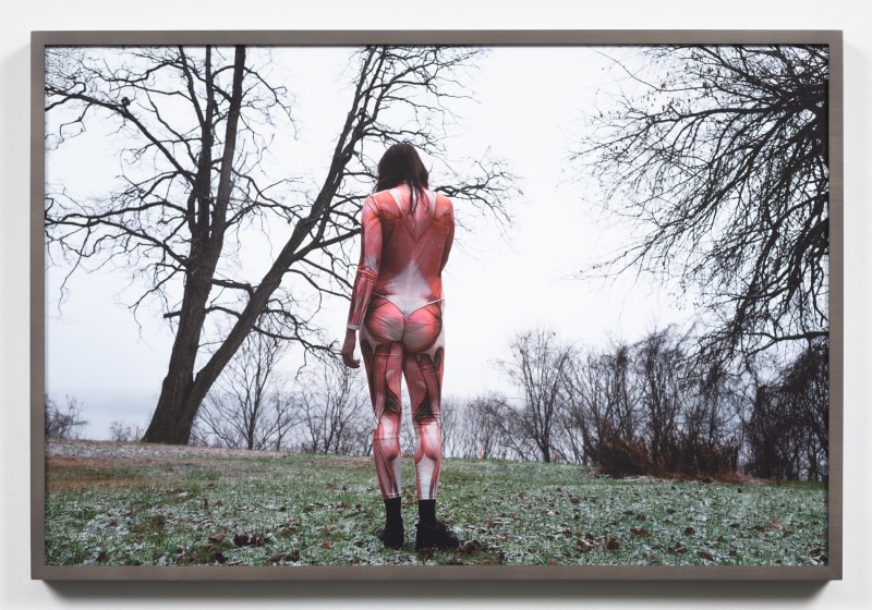 Dana Hoey, Meat Suit