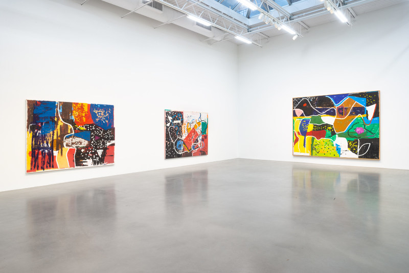 Installation view, Joe Bradley, Bhoga Marga, Petzel, 2022