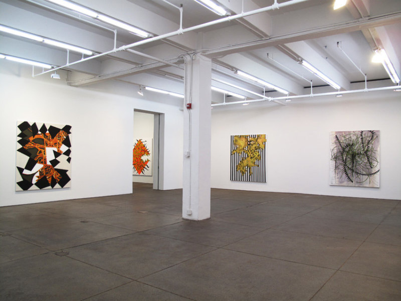 Installation view Friedrich Petzel Gallery