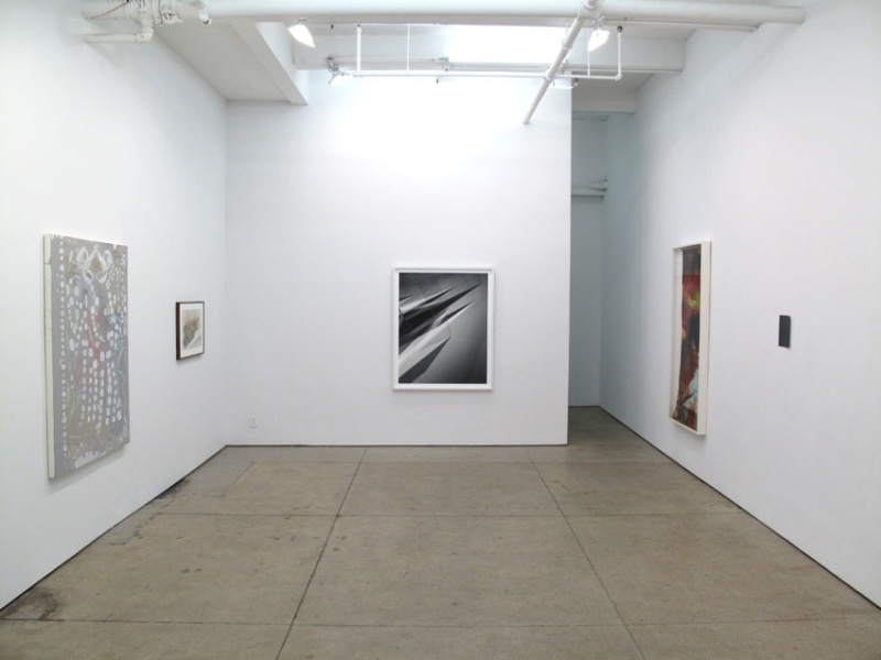 Installation view Friedrich Petzel Gallery 