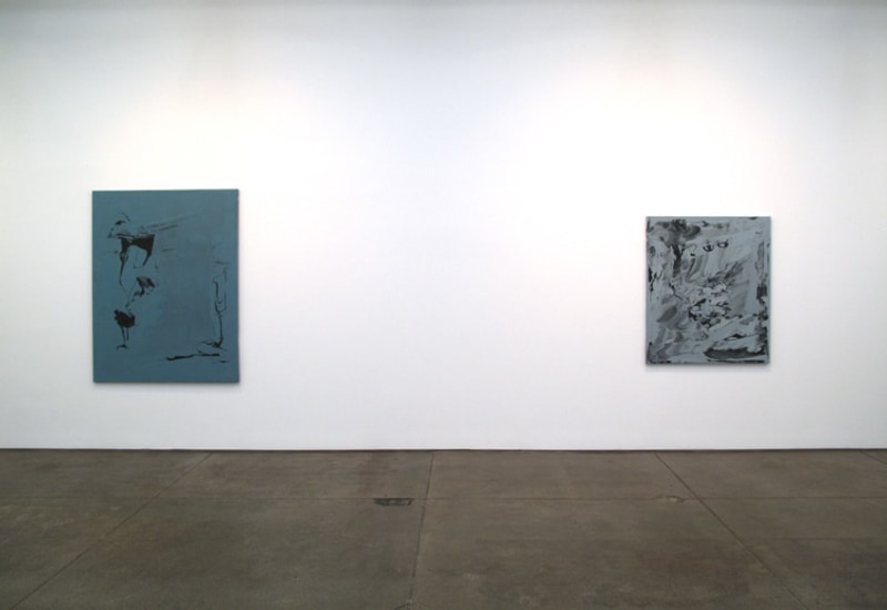 Installation view Friedrich Petzel Gallery