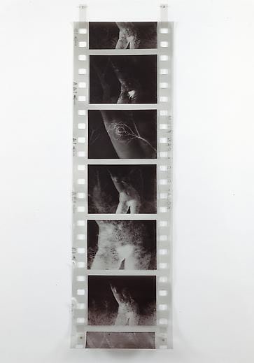 Film Strip #4