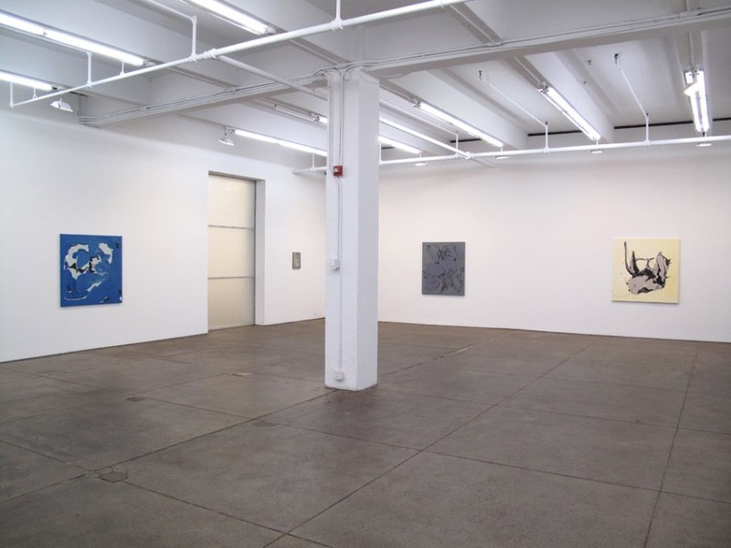 Installation view Friedrich Petzel Gallery