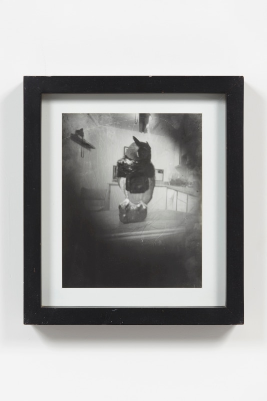 Jorge Pardo, Untitled (Pinhole Camera Owl Photograph)