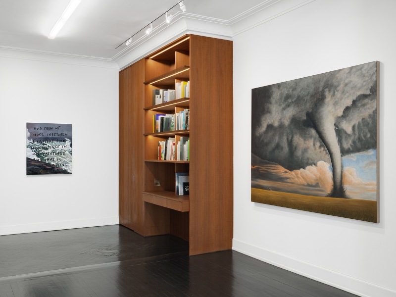 Installation view, Sean Landers, Unnatural Disasters, Petzel, 2022