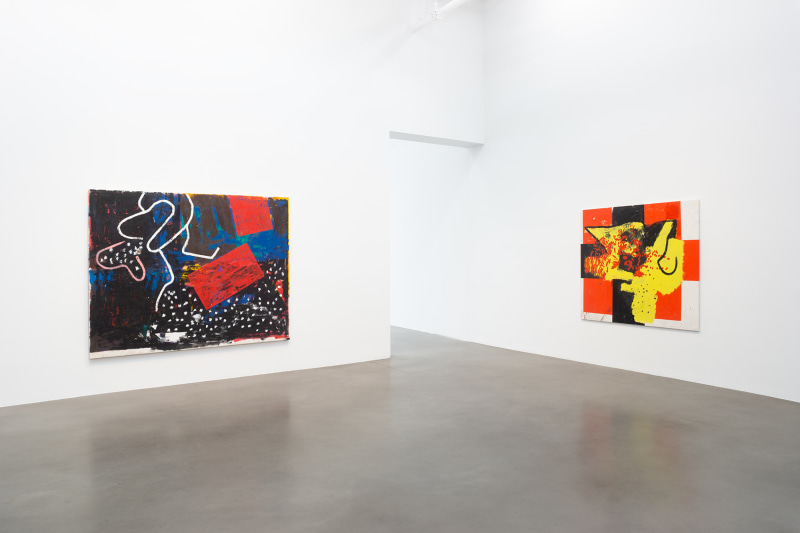 Installation view, Joe Bradley, Bhoga Marga, Petzel, 2022