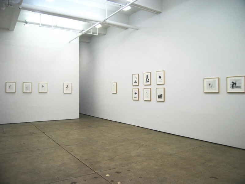 Nicola Tyson Installation view