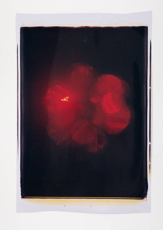 Ross Bleckner, Untitled